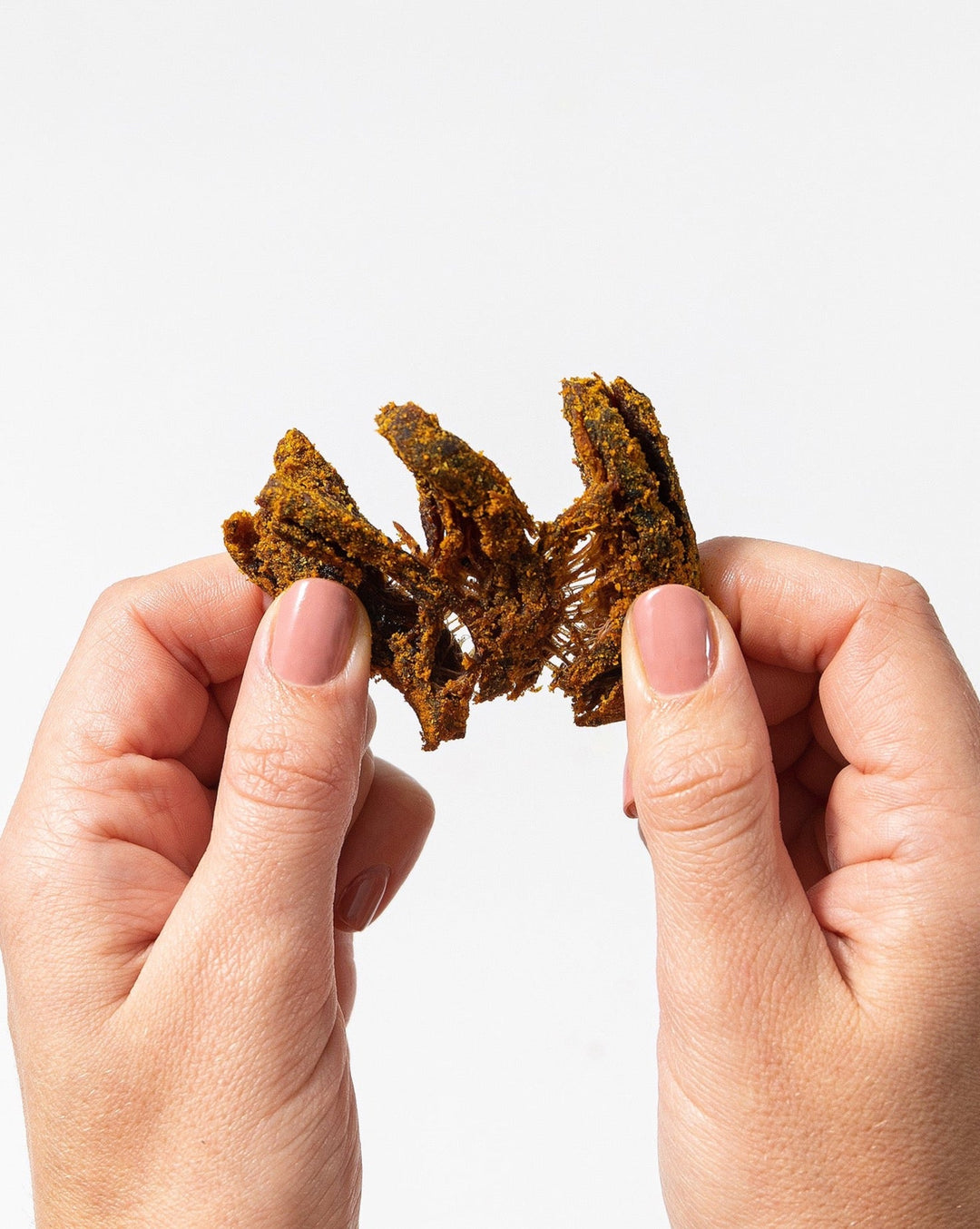 Pan's Mushroom Jerky Curry Flavor