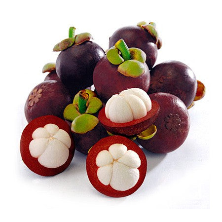 Foco Mangosteen Nectar